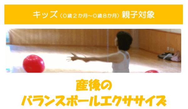 balance ball exercise.jpgのサムネイル画像