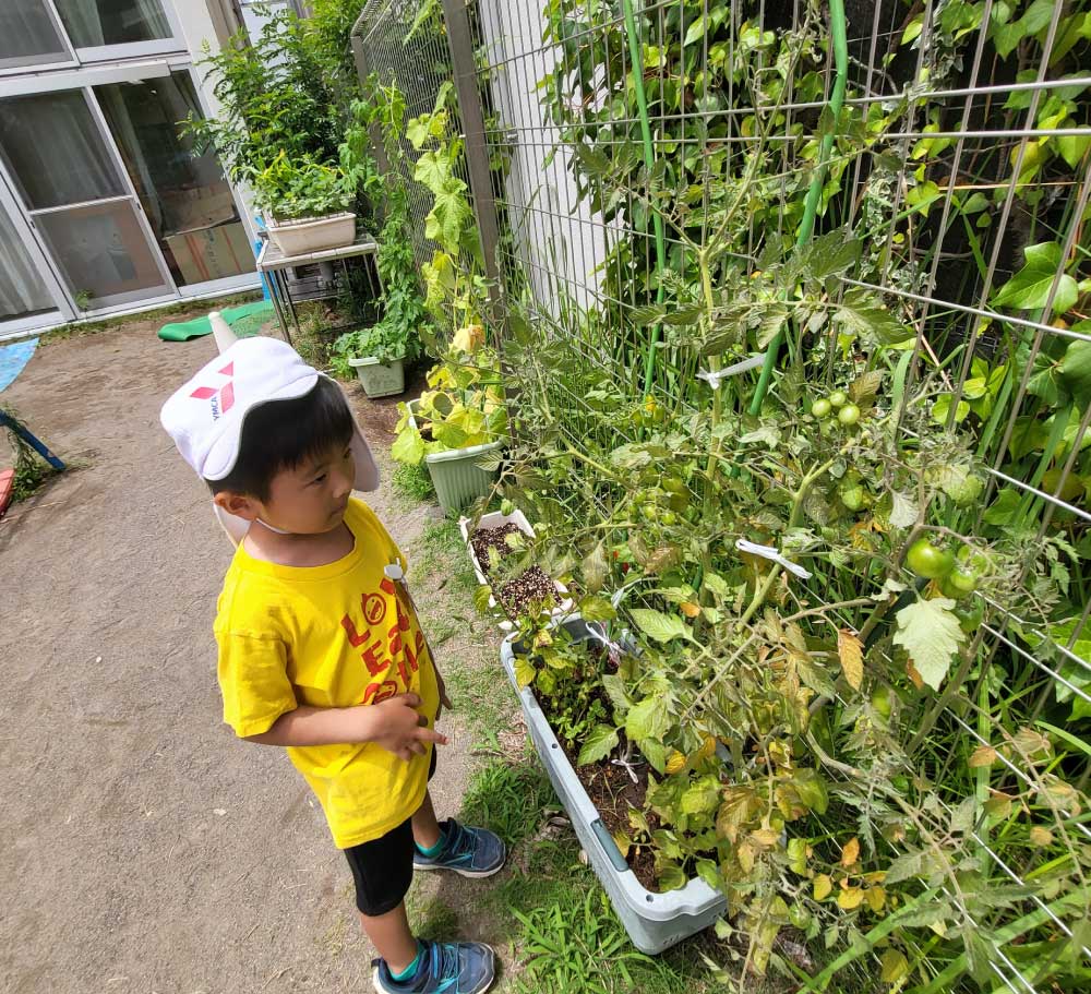 7月　園庭農園