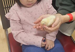 20250517-3.jpg