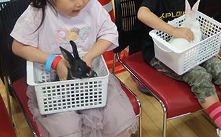 20250517-4.jpg