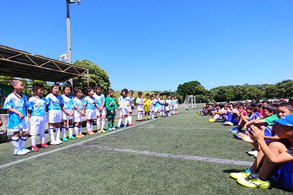 活動の様子