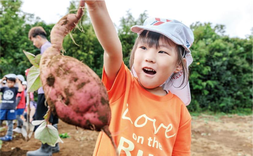子供がさつまいも狩りをしている様子