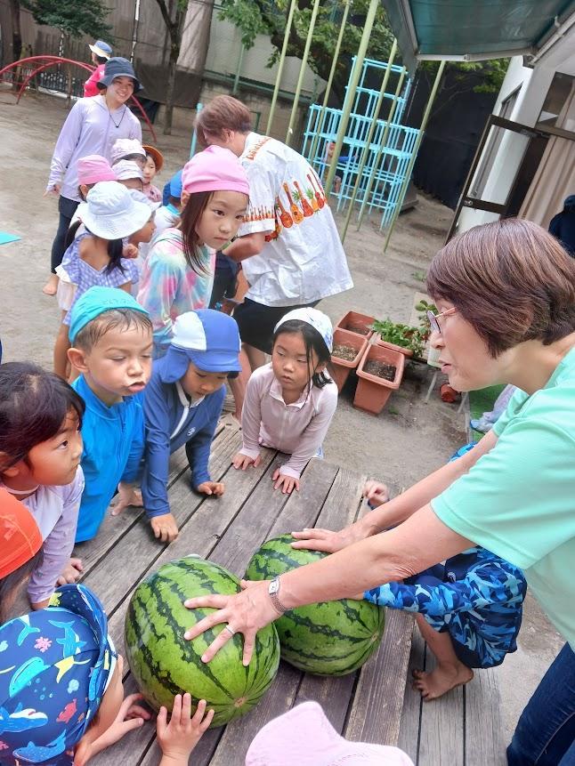 https://tokyo.ymca.or.jp/kindargartennew2025/whatsnew/2026/03/202508-1.jpg