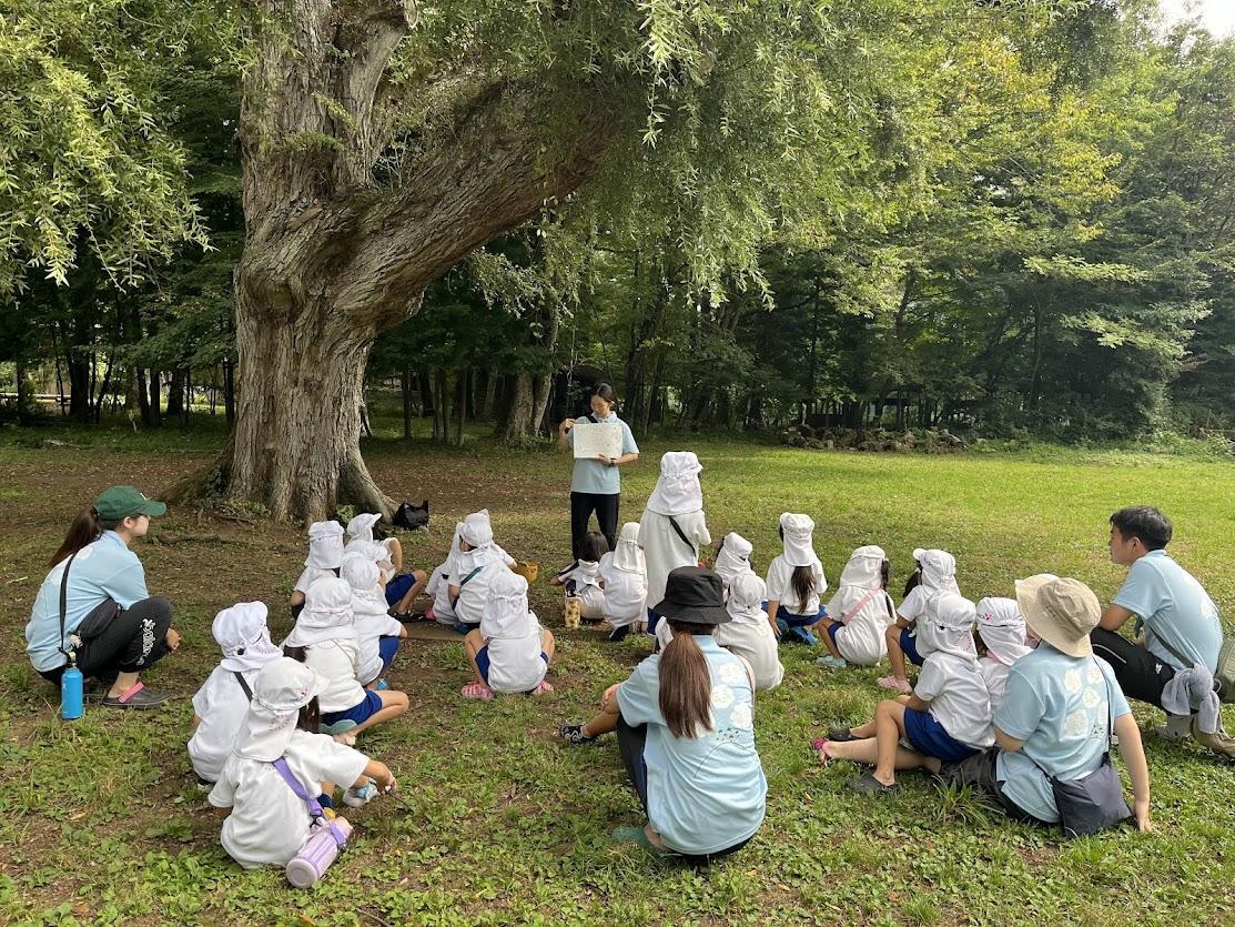 https://tokyo.ymca.or.jp/kindargartennew2025/whatsnew/2026/03/2601-1.jpg