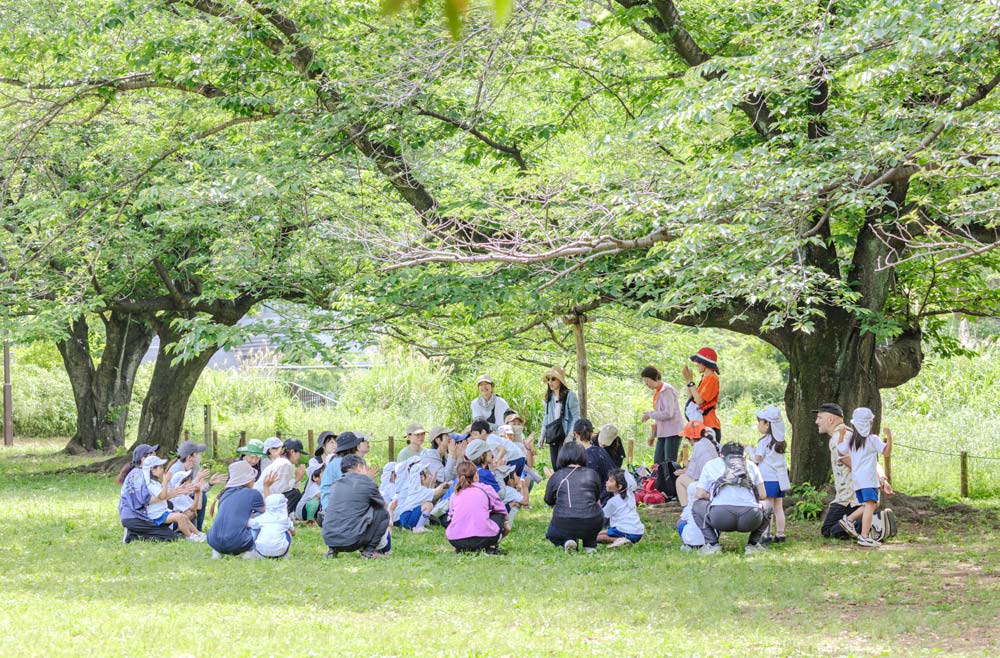 年間行事予定