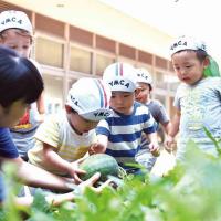 幼稚園・保育園・こども園に就職ご希望の方へ　～2026年度4月採用のご案内～